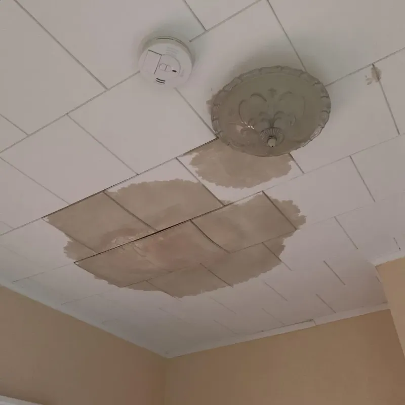 Ceiling Water Damage Repair in Crescent, OK