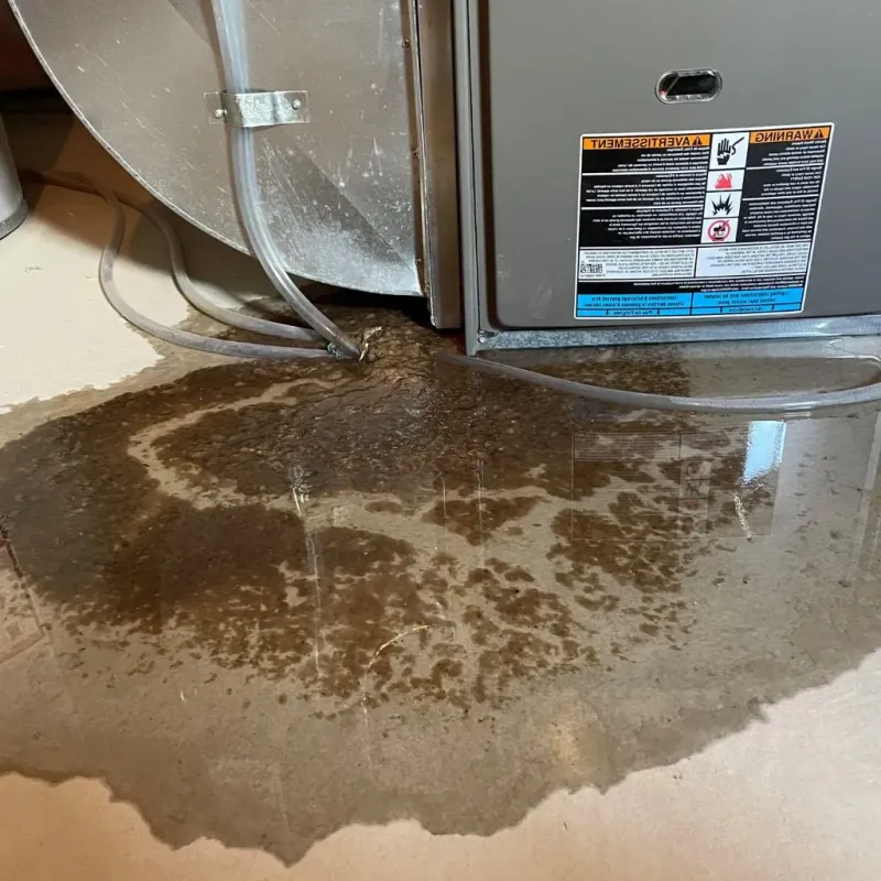 Pipe Burst and Leak Restoration in Crescent, OK